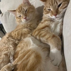 Meet your Posher, Isioma